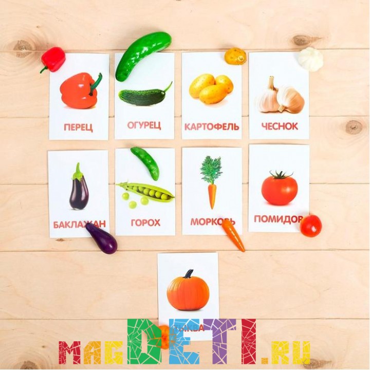 Обучающий набор по методике Г. Домана «Овощи»: 9 карточек + 9 овощей, счётный материал